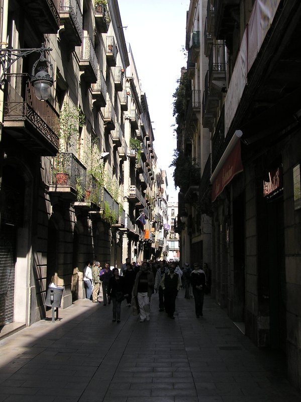 P4100041.JPG