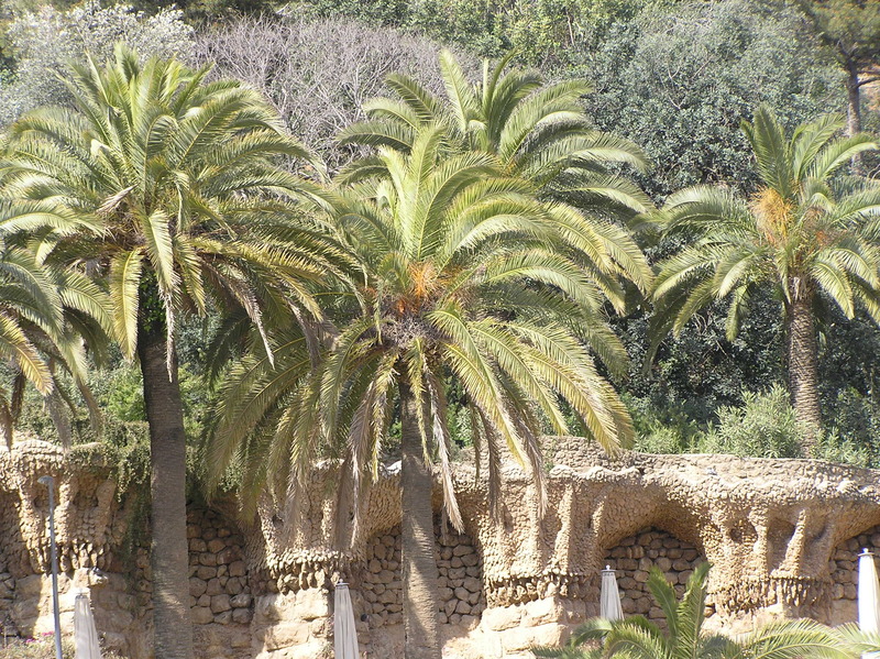 P4110088.JPG