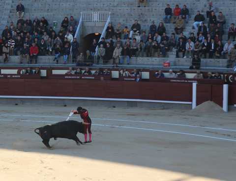 IMG_1395.JPG
