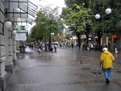 p8210007.jpg