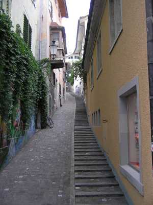 p8250135.jpg