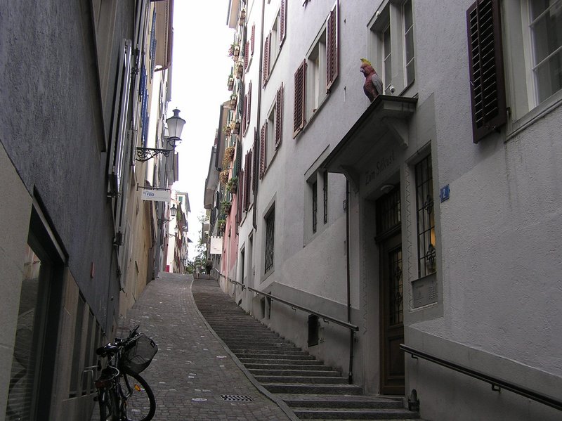 p8250138.jpg