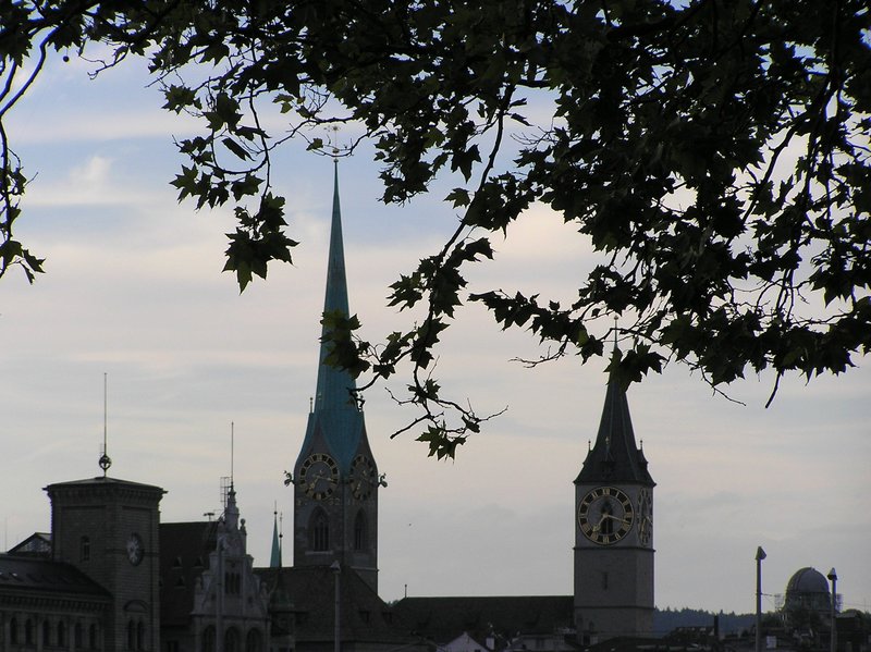 p8250144.jpg