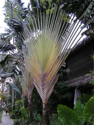 PB040245.JPG