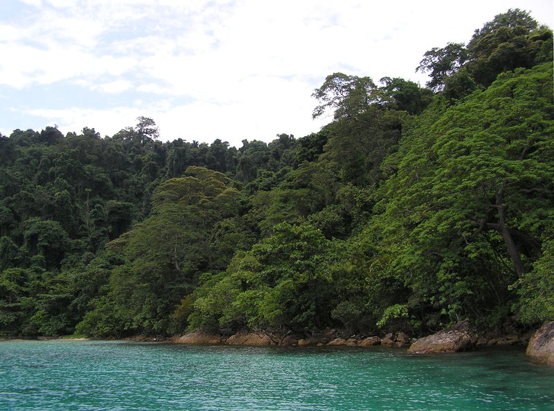 PA310208.JPG
