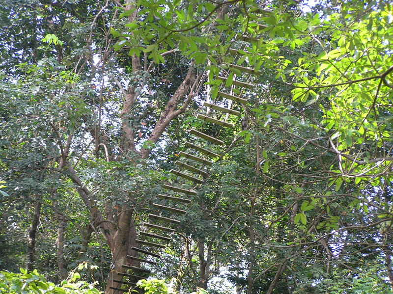 PB040223.JPG