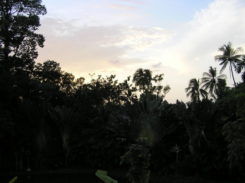 PB040243.JPG