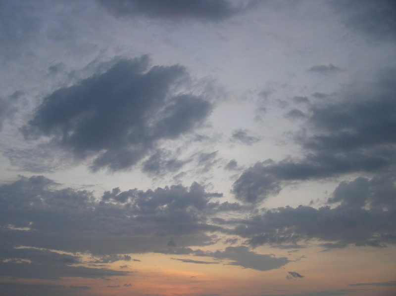 PB040266.JPG