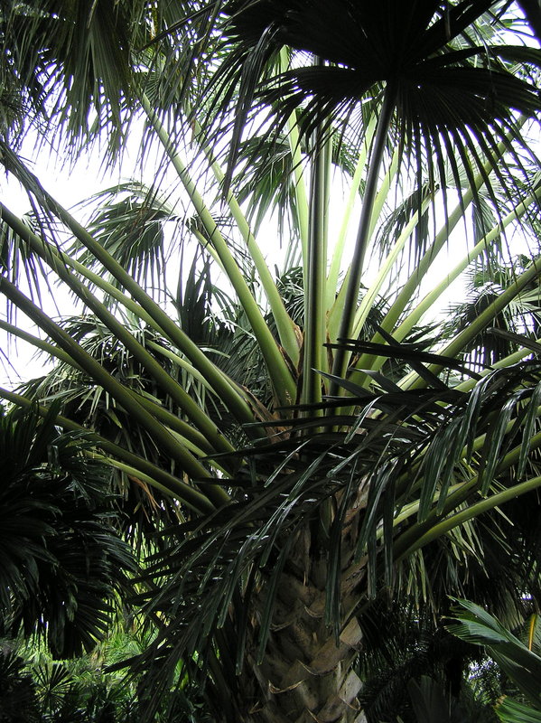 PA280140.JPG