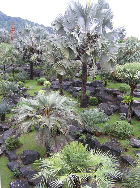 PA280143.JPG