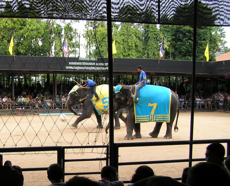 PA280168.JPG