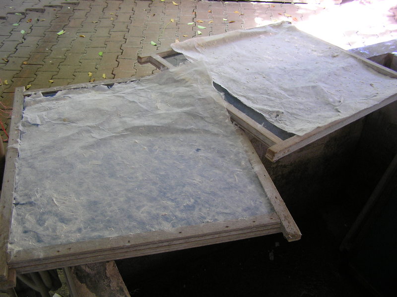 PA260039.JPG