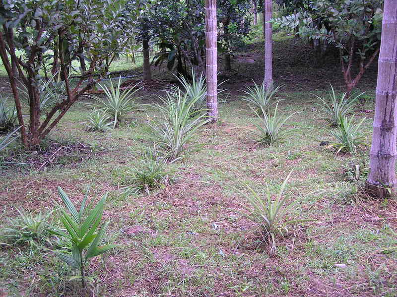 PA270085.JPG