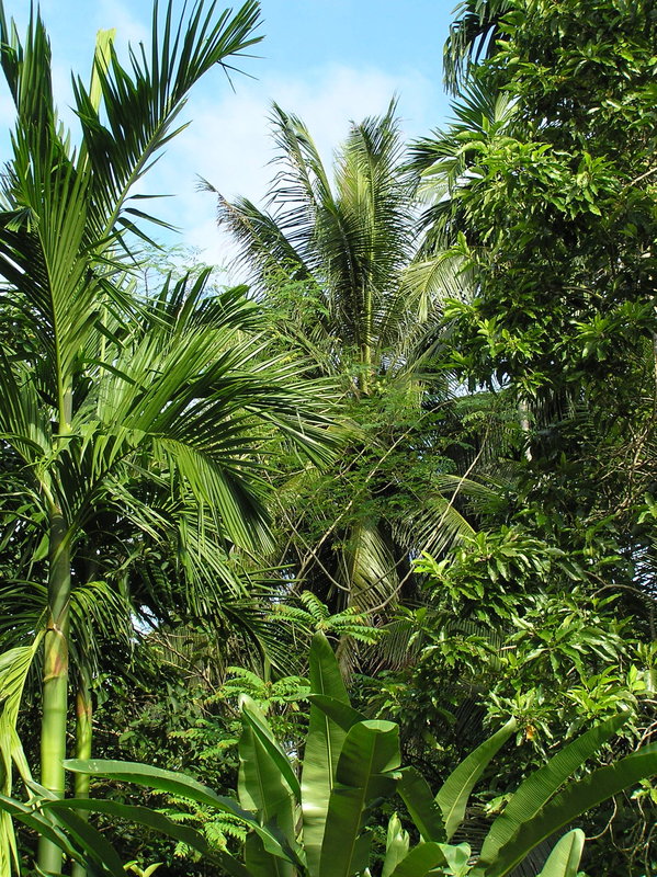 PA270088.JPG
