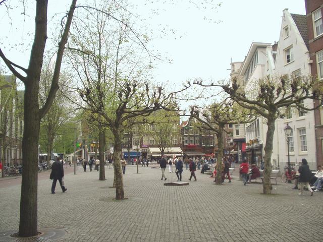 p4240005.jpg