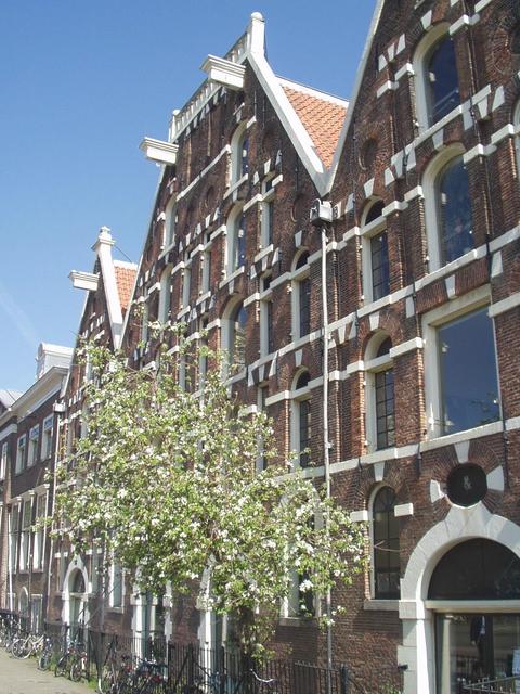 p4240031.jpg