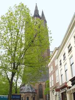 p1010205.jpg