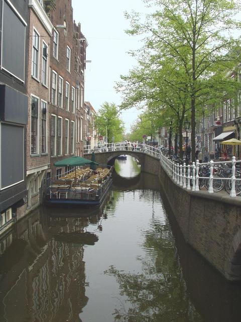 p4270203.jpg