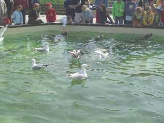 p1010321.jpg