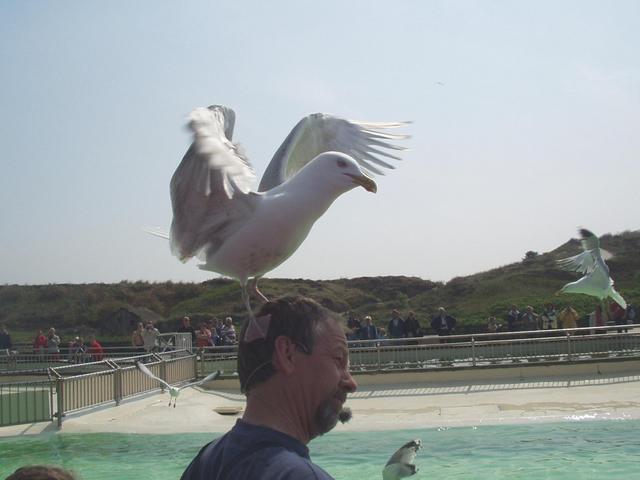 p1010317.jpg