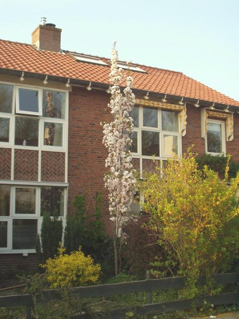 p4260144.jpg