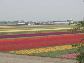 p4250101.jpg