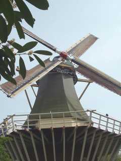 p4250104.jpg