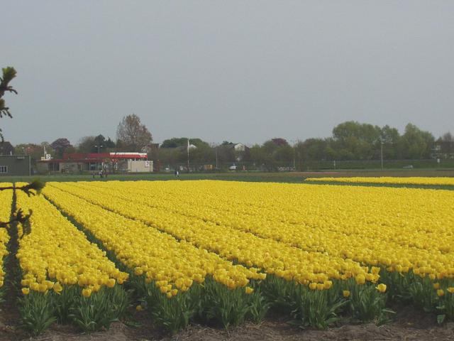 p4250108.jpg
