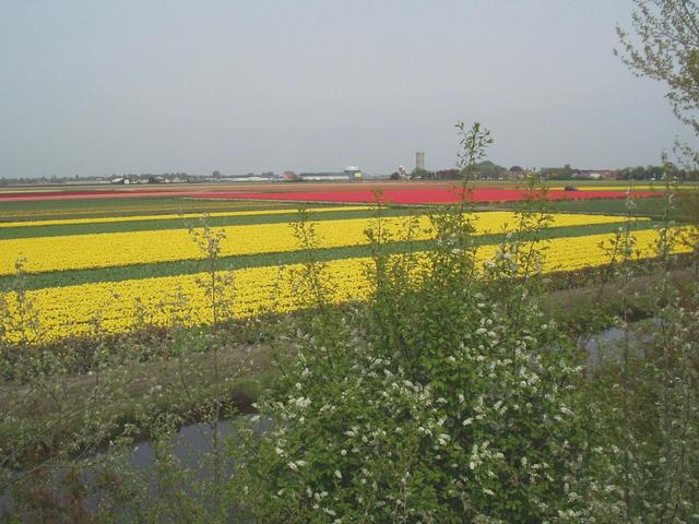 p4250112.jpg