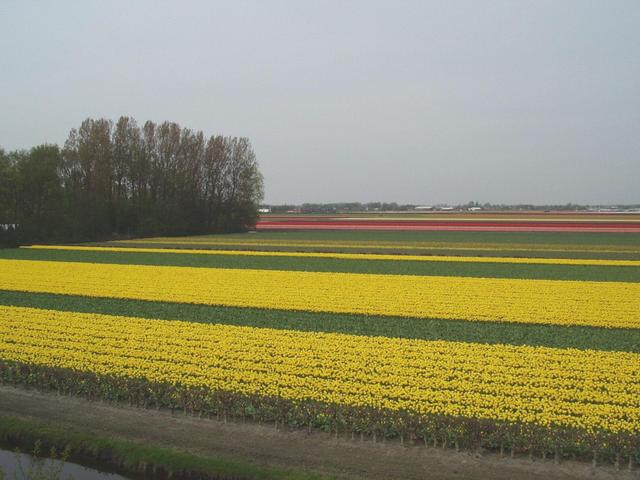 p4250113.jpg
