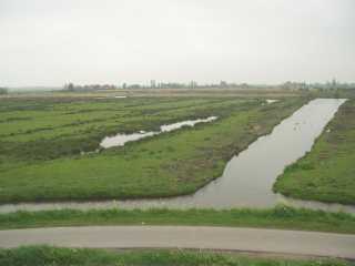 p1010279.jpg