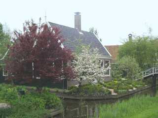 p1010285.jpg