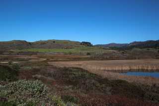 IMG_0493.jpg