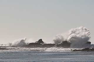 IMG_0506.jpg
