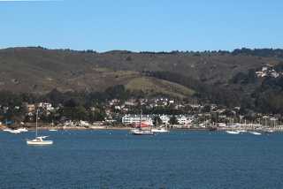 IMG_0528.jpg
