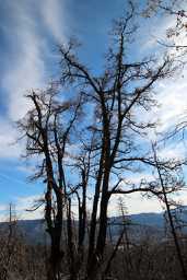 IMG_0315.jpg