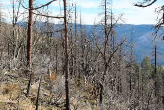 IMG_0316.jpg