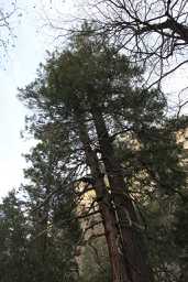 IMG_0335.jpg