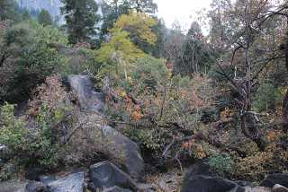 IMG_0343.jpg