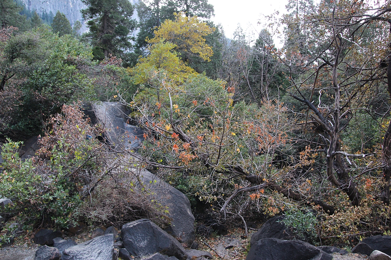 IMG_0343.jpg
