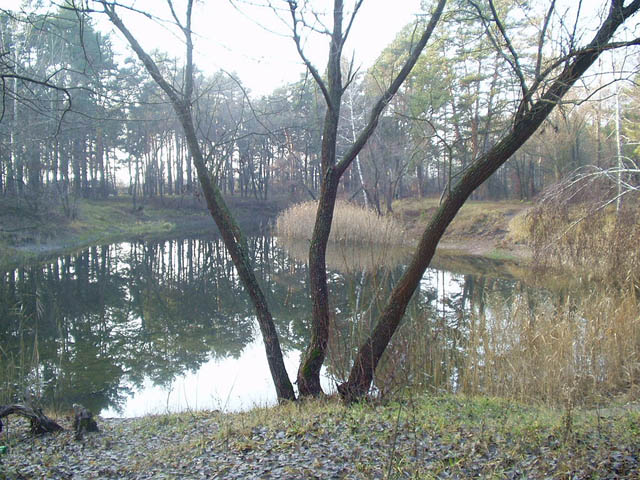 PB230004.jpg