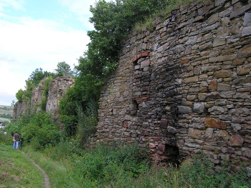 p7140021.jpg