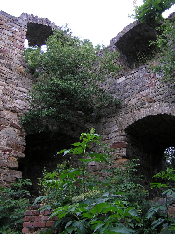 p7140012.jpg