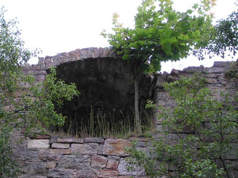 p7140013.jpg