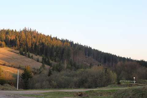 IMG_1461.JPG