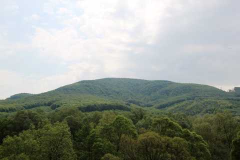 IMG_1673.JPG