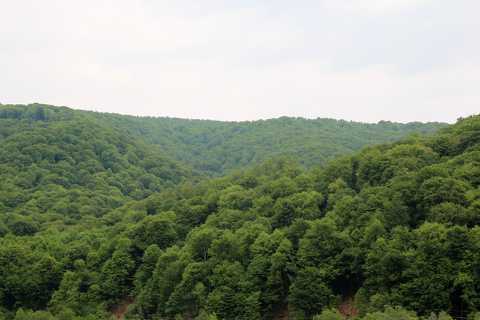 IMG_1677.JPG
