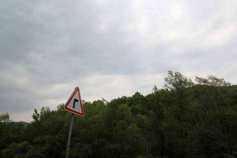 IMG_1679.JPG