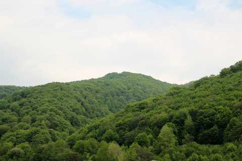 IMG_1683.JPG