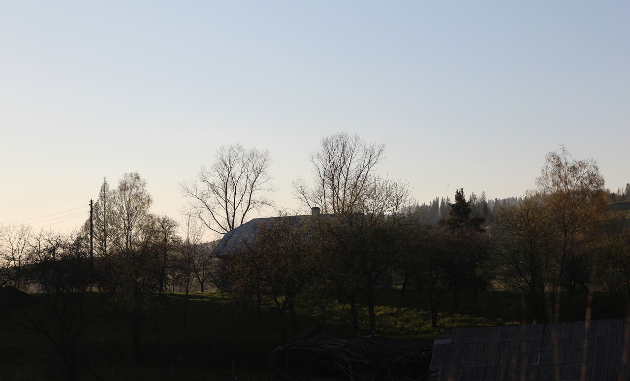 IMG_1445.JPG